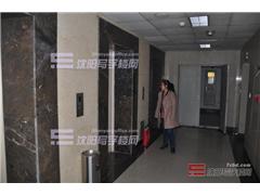 摩根凯利图片