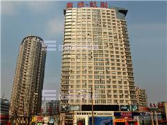 摩根凯利图片