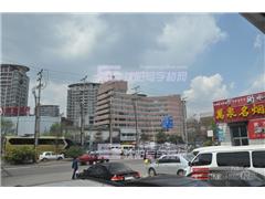 图片相册