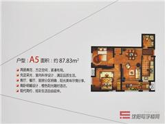 图片相册