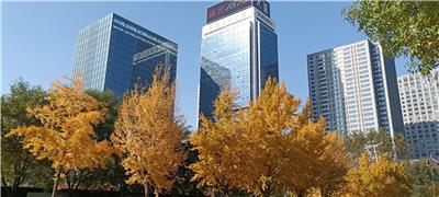 新华科技大厦图片