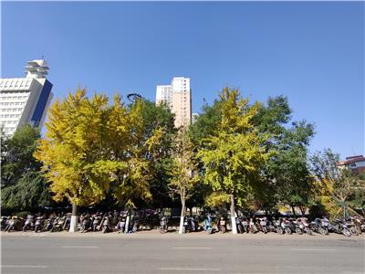 华润和平时代广场图片
