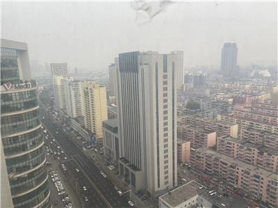 摩根凯利图片