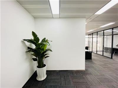 青年大街核心区域精装带家具小面积出租