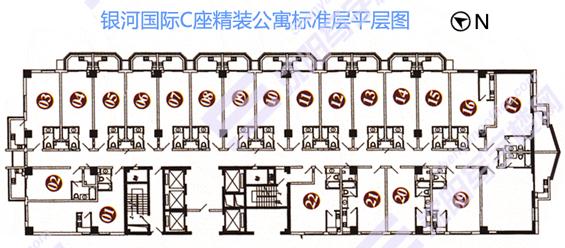 C座平层图