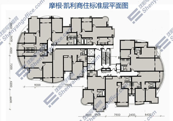 B座商住平层图