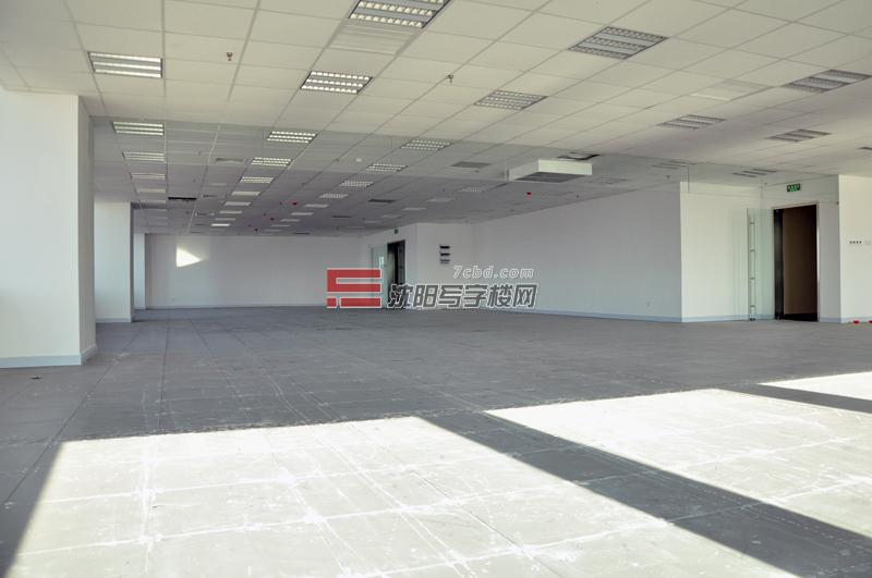 龙之梦室内图