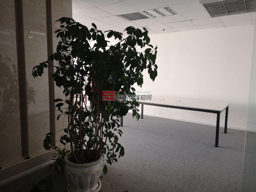 龙之梦室内图